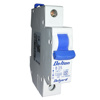 Delton 25A B-Curve 10kA 1 Pole MCB