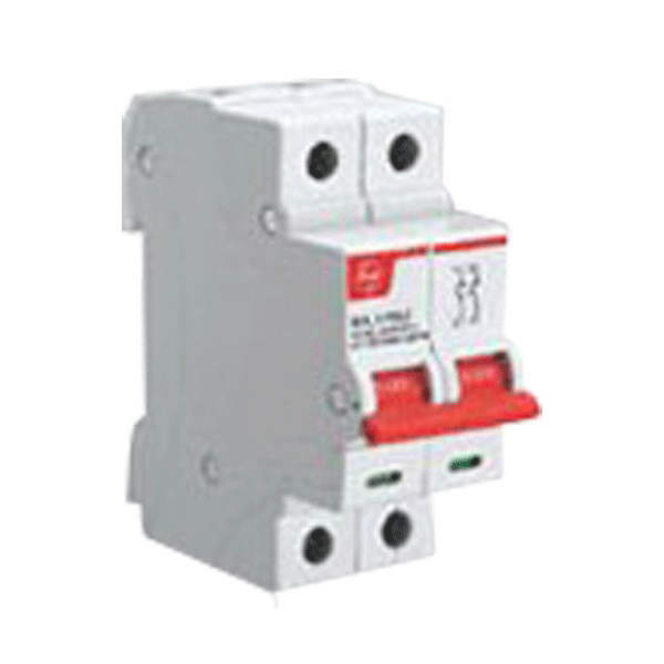 Lauritz Knudsen BF210000 100A Double Pole Isolator Switch