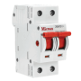 Micron M2P100I 100A Double Pole Isolator Switch