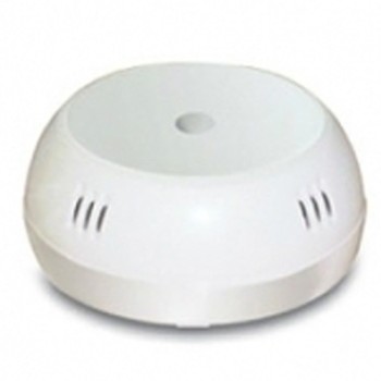 GM Play Ceiling Rose