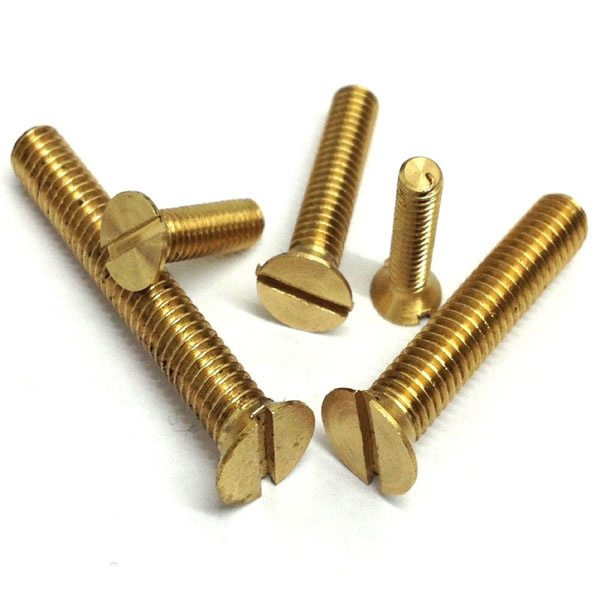 Brass Screw 1 inch (12 pcs)
