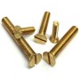 Brass Screw 1.5 inch (12 pcs)