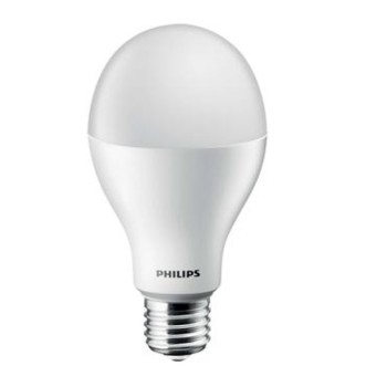 Philips 17W LED Bulbs