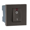 Legrand Myrius Nextgen 679417 32A DP Grey Switch