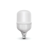 Wipro Garnet 30W LED Bulbs
