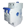 Delton 40A C-Curve 10kA 2 Pole MCB