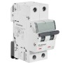 Crabtree 40A C-Curve 10kA 2 Pole MCB