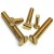 Brass Screw 2.5 inch (12 pcs)