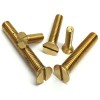 Brass Screw 3 inch (12 pcs)
