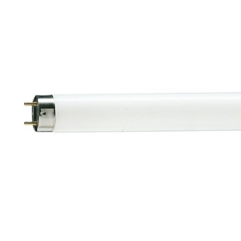 Philips 18W 2ft Hi-Lumen Trulite (25 pcs)