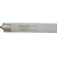 Philips 28W 4ft T-5 Lamp (20 pcs)