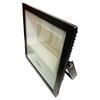 Wipro Garnet 100W 6500k LED Flood Light