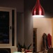 Philips Beacon 58074 E-27 (Bulb Base) Wine & Silver Pendant Light