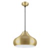 Philips Vivid 582024 E-27 (Bulb Base) Matte Gold Pendant Light