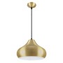 Philips Vivid 582024 E-27 (Bulb Base) Matte Gold Pendant Light