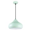 Philips Vivid 582025 E-27 (Bulb Base) Ivy League Pendant Light