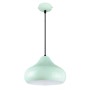 Philips Vivid 582025 E-27 (Bulb Base) Ivy League Pendant Light
