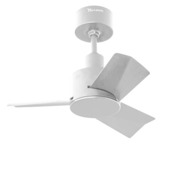 Windmill Bijou 24