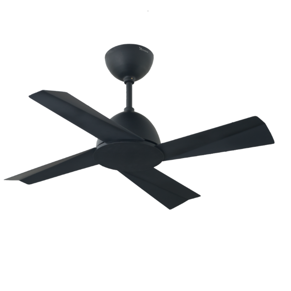 Windmill Curtiss Jr 36