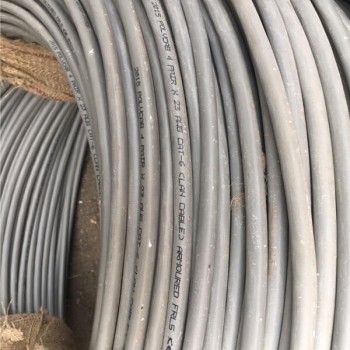 Polycab CAT6 Armoured Networking Cable