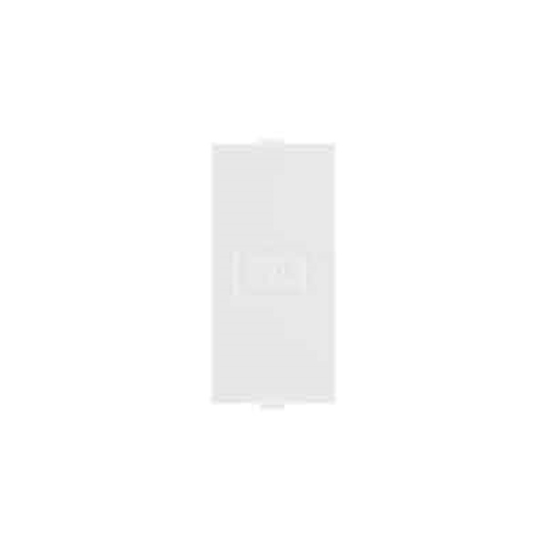 Anchor Roma 21598 Blank Plate